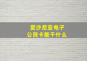 爱沙尼亚电子公民卡能干什么