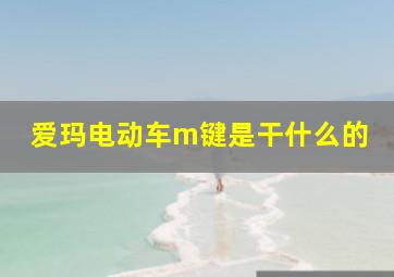 爱玛电动车m键是干什么的