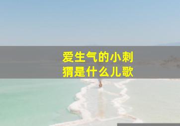 爱生气的小刺猬是什么儿歌