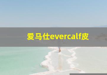 爱马仕evercalf皮