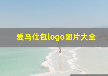 爱马仕包logo图片大全