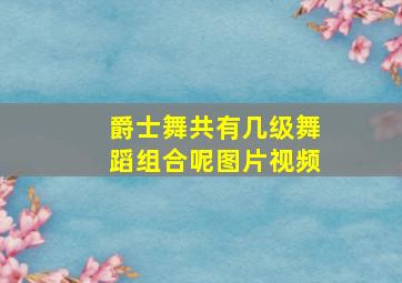 爵士舞共有几级舞蹈组合呢图片视频