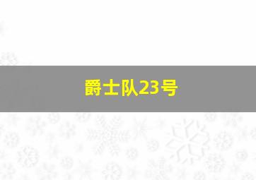 爵士队23号