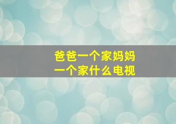 爸爸一个家妈妈一个家什么电视