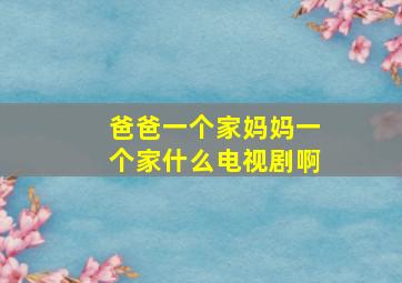 爸爸一个家妈妈一个家什么电视剧啊