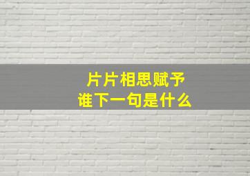 片片相思赋予谁下一句是什么