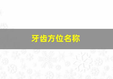 牙齿方位名称