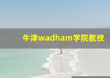 牛津wadham学院教授