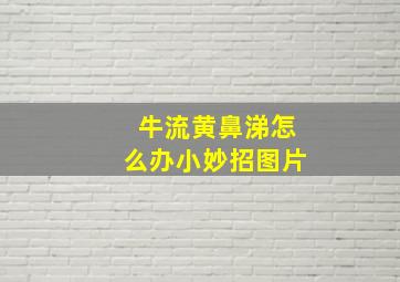 牛流黄鼻涕怎么办小妙招图片