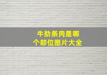 牛肋条肉是哪个部位图片大全