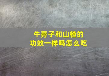 牛蒡子和山楂的功效一样吗怎么吃