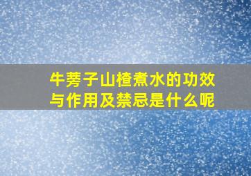 牛蒡子山楂煮水的功效与作用及禁忌是什么呢