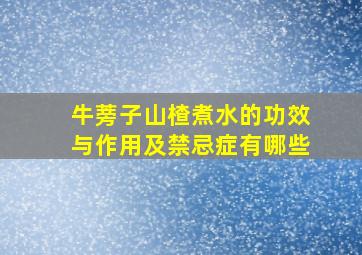 牛蒡子山楂煮水的功效与作用及禁忌症有哪些