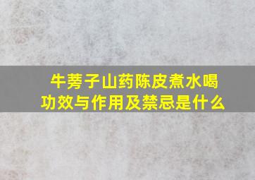 牛蒡子山药陈皮煮水喝功效与作用及禁忌是什么