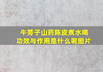 牛蒡子山药陈皮煮水喝功效与作用是什么呢图片