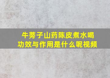 牛蒡子山药陈皮煮水喝功效与作用是什么呢视频