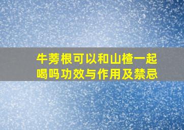 牛蒡根可以和山楂一起喝吗功效与作用及禁忌