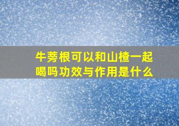 牛蒡根可以和山楂一起喝吗功效与作用是什么