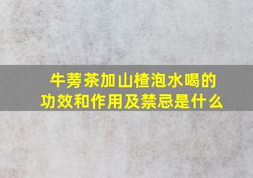 牛蒡茶加山楂泡水喝的功效和作用及禁忌是什么