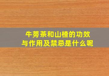 牛蒡茶和山楂的功效与作用及禁忌是什么呢