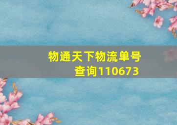 物通天下物流单号查询110673