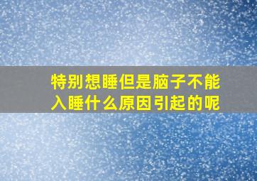 特别想睡但是脑子不能入睡什么原因引起的呢