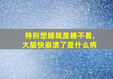 特别想睡就是睡不着,大脑快崩溃了是什么病