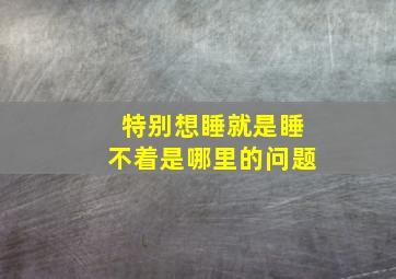 特别想睡就是睡不着是哪里的问题