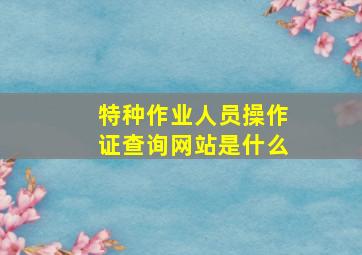 特种作业人员操作证查询网站是什么