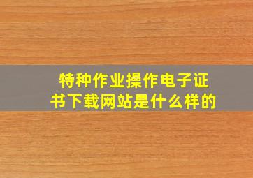 特种作业操作电子证书下载网站是什么样的