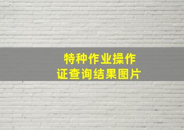 特种作业操作证查询结果图片