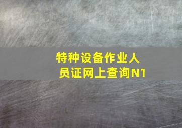 特种设备作业人员证网上查询N1