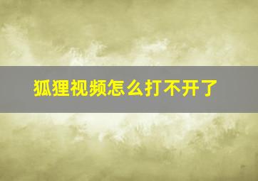 狐狸视频怎么打不开了