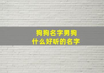 狗狗名字男狗什么好听的名字