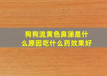 狗狗流黄色鼻涕是什么原因吃什么药效果好