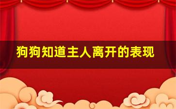 狗狗知道主人离开的表现