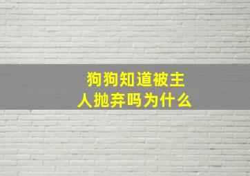 狗狗知道被主人抛弃吗为什么