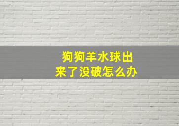 狗狗羊水球出来了没破怎么办