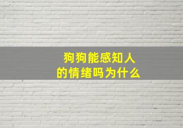 狗狗能感知人的情绪吗为什么