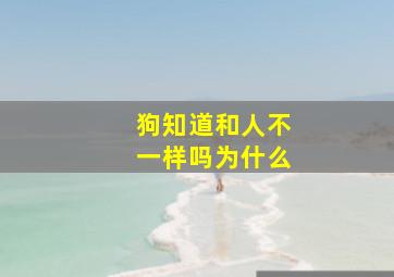 狗知道和人不一样吗为什么