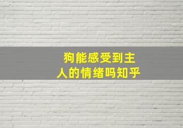 狗能感受到主人的情绪吗知乎