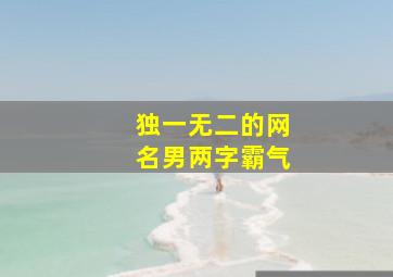 独一无二的网名男两字霸气