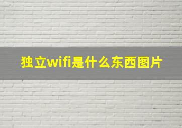 独立wifi是什么东西图片