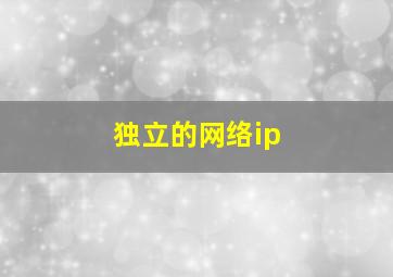 独立的网络ip