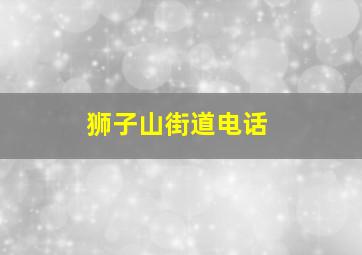 狮子山街道电话