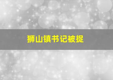 狮山镇书记被捉