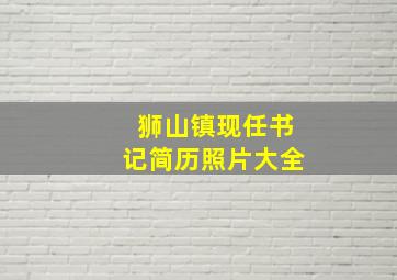 狮山镇现任书记简历照片大全