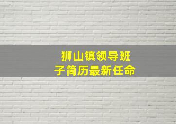 狮山镇领导班子简历最新任命