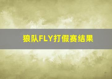 狼队FLY打假赛结果