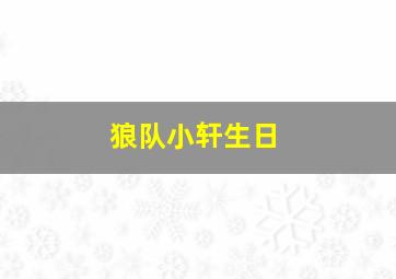 狼队小轩生日